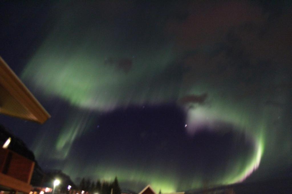Hotel Austur Reydarfjordur Exteriör bild